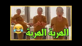 شد كرشك بالضحك مع ساري كوول
