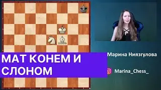 Checkmate with knight and bishop. Chess