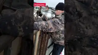 Кобылу для себя привезли.