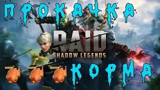 Прокачка корма от А до Я/ Raid Shadow Legends