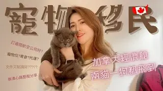 【經驗分享】寵物移民加拿大｜兩貓一狗｜因為隻英短爭啲要搭私人飛機? 邊間航空公司容易訂? ｜出境文件其實好簡單｜由訂寵物機位到上機注意事項過程詳細說明｜教你如何訓練動物及主人應付長途機的心理質素