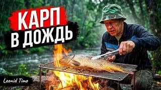 Как приготовить РЫБУ на УГЛЯХ в фольге 👍 Готовим на природе. Leonid Timo