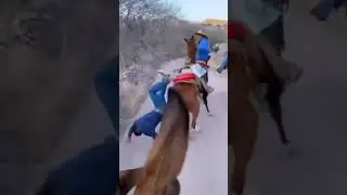 ASI SE BAJA DEL CABALLO