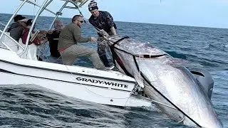 Amazing Giant Tuna Fishing Skills Of The Best Sea Fishermen - Great Fishing Videos