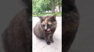 Как вкусно 