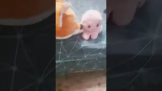 наш класс чек
