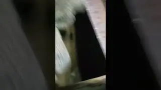печь в гараж из 530 трубы часть 2