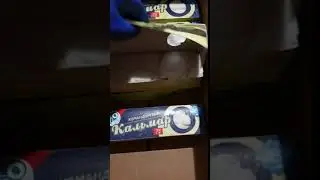Филе кальмара