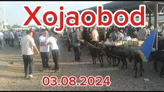 Андижон вилояти Хожаобод хайвон бозори Факат сотилганлари. #tezkor #vodiydansado #2024