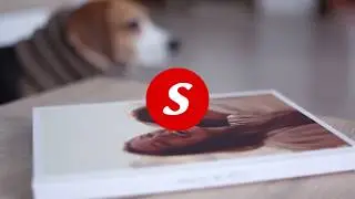 Spot Snappybook