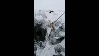 Пруд Серебрянка 2021 г. Окунь, щука, караси.