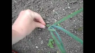 Верный способ как избавиться от травы на огороде. Борьба с сорняками