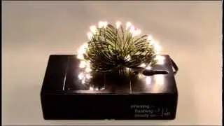 Everlasting Glow Fairy Lights, Warm White Multi Functions