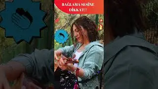 Bağlama  #deyiş #müzik #türkü #halkmüziği #türküler #cover #saz