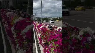Индивидуальные экскурсии по Москве