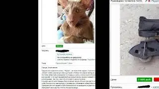 Самые смешные объявления на авито