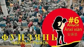 [Чайное дерево] Фуцзянь Китай. Чайный рынок Аньси 安溪县 #6
