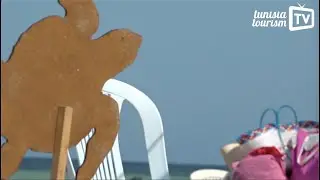 Les tortues de l’île Kuriat