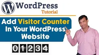how to set page visitor counter in wordpress || WordPress में Visitor Counter कैसे Add करे?
