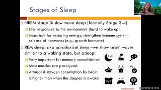 BrainstormLIVE: Sleep Health with Dr. Peach