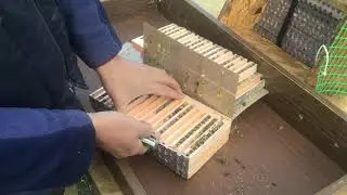 Разборка улья серии PROF