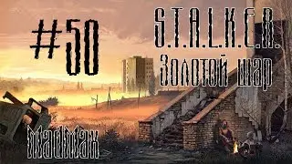 STALKER: Золотой шар. Завершение. Часть 50 - Григорий и его белочка