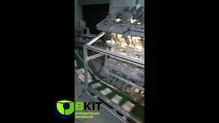 Полуавтоматическая машина упаковки косметических масок для лица FL-4h