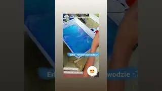 13 ноября 2022 г.