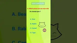 gk shorts // which animal can see even with it's closed eyes // #gkquiz #shortsfeed #gkquestion #mcq