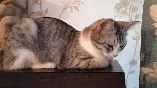 А мы здесь пока переждём