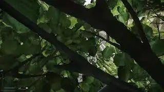 Nyyppä vs. Scav Boss - Escape From Tarkov