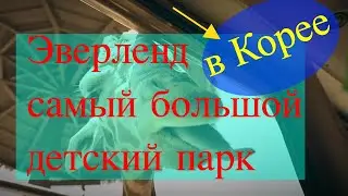 Парк Эверленд в Корее: горки, цветочки и сафари