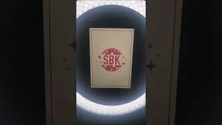 SBK Bat Mitzvah Photobooth Rental