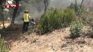 Incendi Forestal al Parc Natural de la Serra Collserola