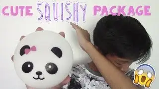 CUTE SQUISHY PACKAGE!!! | iSquishies