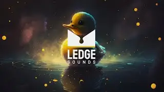 BCee - Ducks In Space