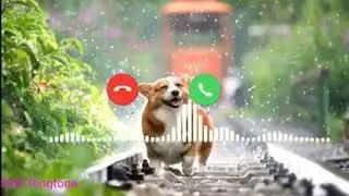 sms ringtone//massage music ringtone//ringtone lover 2022
