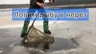 ПОЙМАЛ ЛЯЩЕЙ!УПАЛ В ПРОРУБЬ?