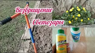 Северянка на хуторе//Я вернулась//Работа против простуды//Редиска и прочие радости🍀