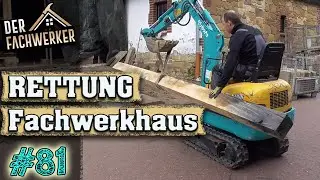 Fachwerkhaus VLog #81 - Wohin nur mit dem ganzen Eichenholz?