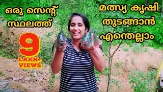 Fish farming in village #മത്സ്യകൃഷി എങ്ങനെ തുടങ്ങാം #മീൻവളർത്തൽ അറിയേണ്ട കാര്യങ്ങൾ #fishfarmingtips
