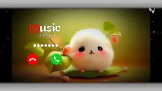 SMS RINGTONE PHONE || NOTIFICATION RINGTONE || ABE YAAR RINGTONE || 