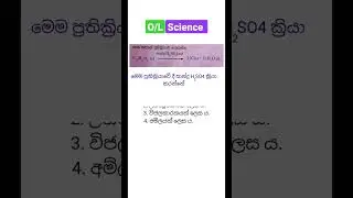 විද්‍යාව Revision 🧠|127| #ol #mcq #science #රසායනිකප්‍රතික්‍රියා #සාමාන්යපෙළ #shorts #sinhala