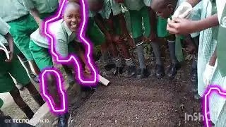 GRADE FIVE AGRICULTURE PROJECT 2024
