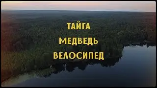 ОДИНОЧНОЕ велопутешествие в СИБИРСКОЙ ТАЙГЕ