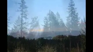 Why I Love Eugene