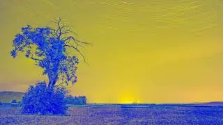 Grohotsky - Славень українців світу