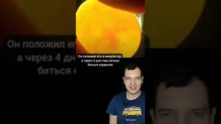 БЛОГЕР НАШЕЛ ГОРОШИНУ И ЧЕРЕЗ 2 НЕДЕЛИ ОНА ОЖИЛА 