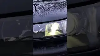 Ремонт фар Рено Калининград