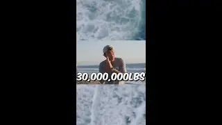 removing 30 million pounds of plastic from our oceans | TeamSeas Fundraiser #TeamSeas #shorts
